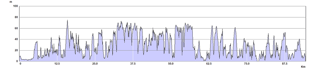 South West Cornwall Trail Run Route Profile